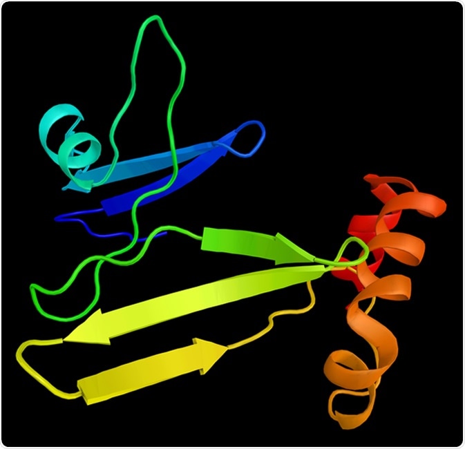 Ghrelin, the