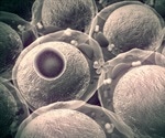 Study provides a molecular snapshot of Tanshi constitution's immunological landscape