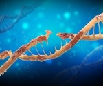 Study sheds light on night work−cancer link