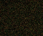 Microarray Applications