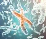 Genetic Inheritance