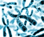 Gene discovery could pave the way for new and more effective treatments for lupus
