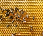 Pennsylvania physicians urge residents to take precautions against bug bites, bee stings