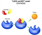 Enzyme Mechanisms