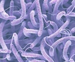Yemen facing serious cholera outbreak