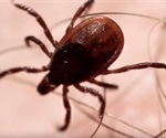 Powassan Virus