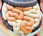 Common dietary supplement could protect against chronic Cryptosporidium infections