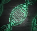 Dmrta2 gene mutation can lead to abnormal brain development in unborn babies