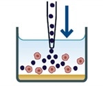 Real Time Measurement of Tumor Cell Death Using IncuCyte® Immune Cell Killing Assay