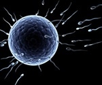 Increase in male partner’s age associated with decline in cumulative live birth rate, study finds