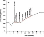 Trends and Developments of Ion Chromatography in Pharmaceutical Analysis