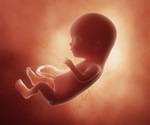 Vitamin B3 supplementation during pregnancy may prevent birth defects, in-vivo study suggests