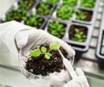 Metabolomics in Plants