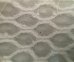 Tissue Regeneration Using 3D-Printed Bioactive Glass Scaffolds