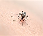 Zika suppresses immune system during pregnancy to harm baby, report researchers