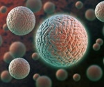 Mouse model developed to allow study of Zika virus transmission