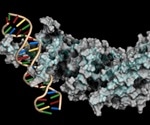 Electron Paramagnetic Resonance Aids Cancer Drug Development