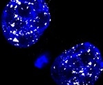 Scientists identify novel role for retrotransposons in shaping embryonic chromatin landscape