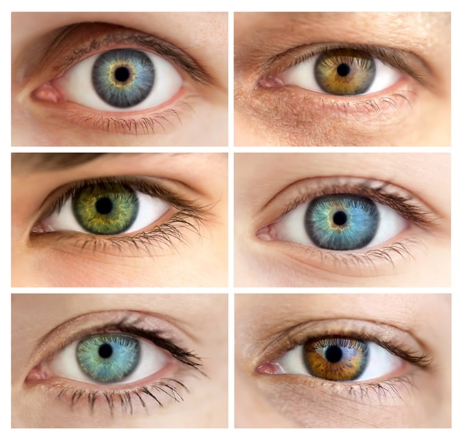 Image Credit: Taiga /Shutterstock