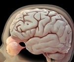 Histological Techniques of Neuroanatomy