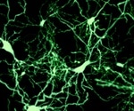 Fluorescence Spectroscopy