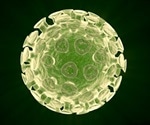 Early and Late Symptoms of Hepatitis C