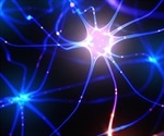 Researchers develop drug that supports cellular traffic jam theory in ALS/FTD