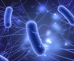 Scientists develop genetically engineered probiotic that targets and kills cancer cells in the gut