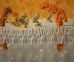 Determining Membrane Disrupting Protein Mechanisms Using Polarized FTIR