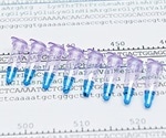 Massive Parallel Signature Sequencing (MPSS)