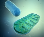 Viral replication process weak spot may help develop cure for infections