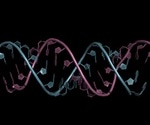 RNAi Evolution
