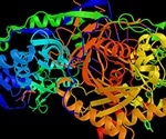 RNAi Mechanism