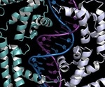 Serial Analysis of Gene Expression (SAGE)
