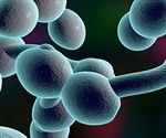 Yeast two-hybrid (Y2H) systems