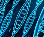 Genetic Studies with S. pombe