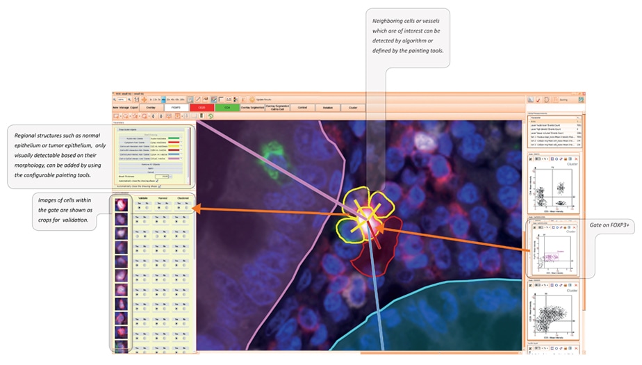 clusterstructure
