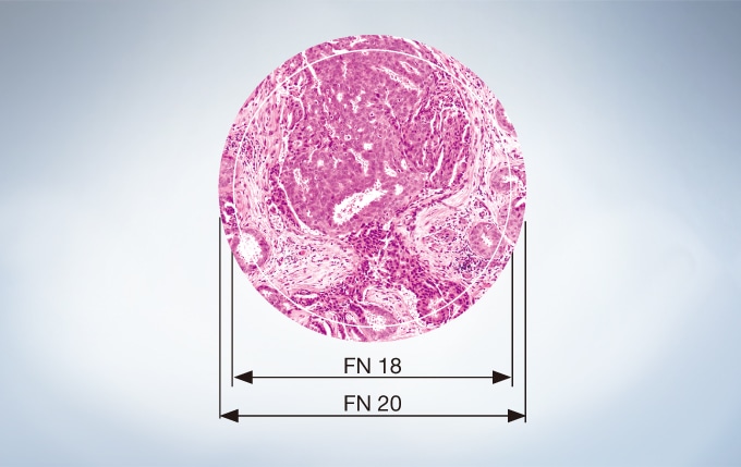 Field Number (FN) of 20