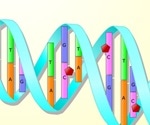 Histones and the Cell Cycle