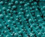 Nanotechnology Against Aging