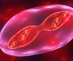 Cell Cycle Analysis Using Flow Cytometry