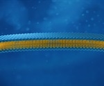 Study shows how ribose may have become the sugar of choice for RNA development
