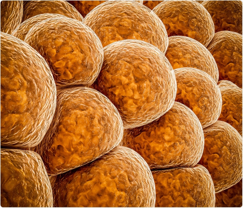 Skin cells containing melanin - By Victor Josan