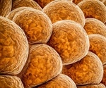 Skin cells show minimal damage, maximum pigmentation when exposed to sunlight every 48 hours