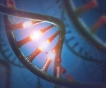RNA Polymerase Types and Roles in Eukaryotes