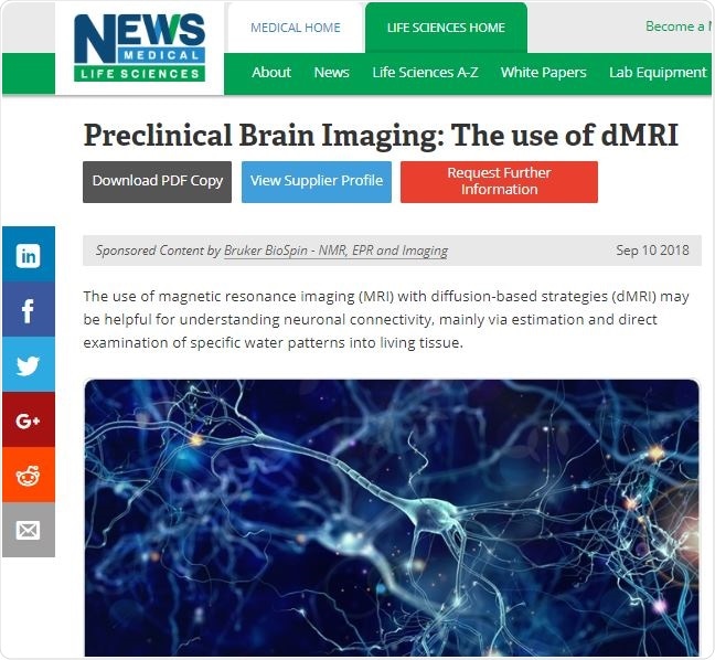 Preclinical Brain Imaging Article Example Preclinical Brain Imaging Article Example
