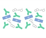 The Effect of p21 in Cellular Function