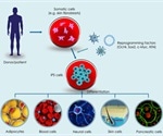 Genes that Control Pluripotency