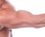 How Does Beta-Alanine Help Build Muscle?