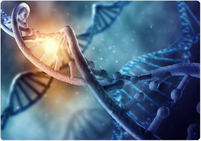 Image Credit: ESB Professional / Shutterstock